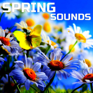Soothing Spring Sounds (feat. Baby Sleep Pink Noise, Universal Soundscapes, White Noise, Nature Scapes TV, Deep Sleep Collection & Ultra Brown Noise Sounds) (Water Soundscapes Remix)