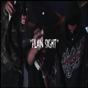 plain sight (feat. Ot7 Quannyy & Waldo600) [Explicit]