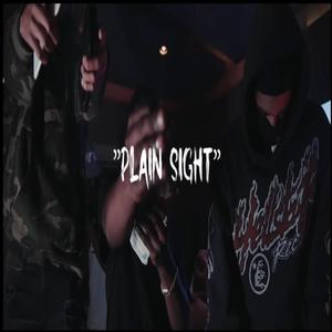 plain sight (feat. Ot7 Quannyy & Waldo600) (Explicit)