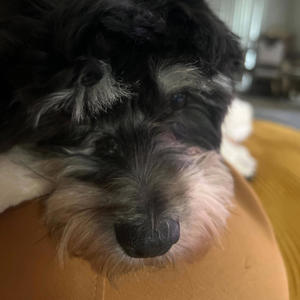 Highs and Lows (Explicit)