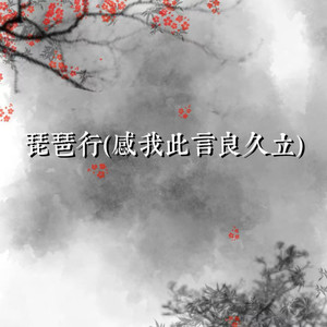 琵琶行(承诺淡如清水)-发呆想你时