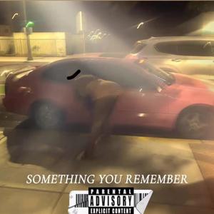 SOMETHING YOU'D REMEMBER (Explicit)