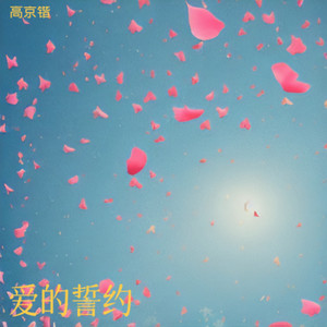 爱的誓约封面