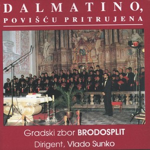 Dalmatino, Povišću Pitrujena