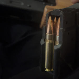 palm angel (feat. leer) (Explicit)