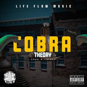 COBRA (Explicit)