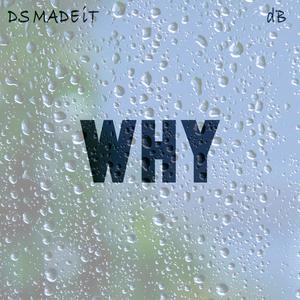 WHY (feat. d.B)