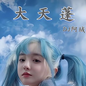 大天蓬 (DJ版)