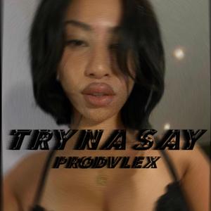 Tryna say? (Explicit)