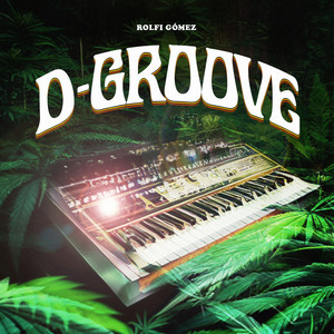 D-GROOVE