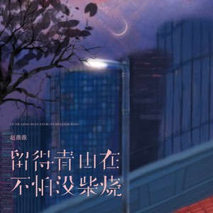 留得青山在不怕没柴烧 (治愈女声版)