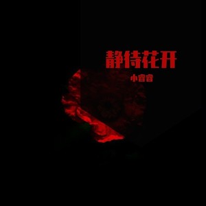 静待花开 (伴奏)