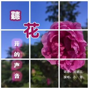 听花开的声音