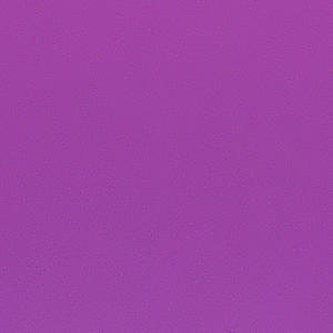 SHAME ON ME (Explicit)