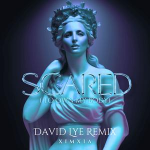 scared (to own my body) (David Lye Remix)