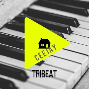 TriBeat