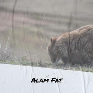 Alam Fat