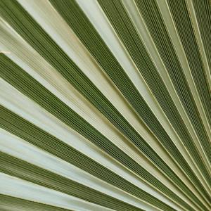 Why Though (Explicit)