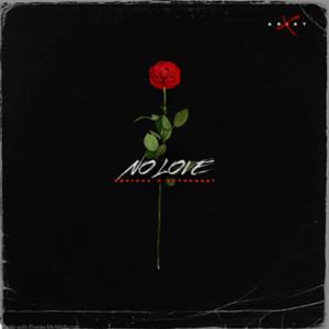 NO LOVE (feat. SyTheGoat) (Explicit)