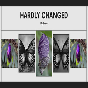 Hardly Changed (Explicit)