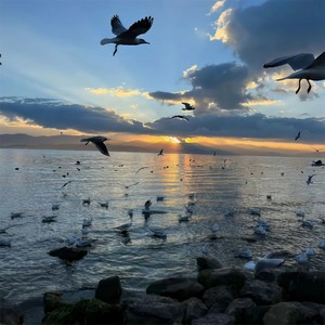 故事与你无关了 - 梦想释放光芒