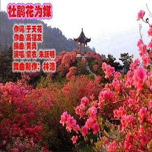 杜鹃花为媒—紫衣VS朱跃明（中三）林浩舞曲制作