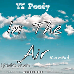 In The Air (feat. Radsol & Vynn Versausii ) [Explicit]