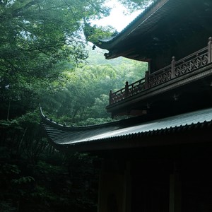Summertrain (旋律氛围)封面