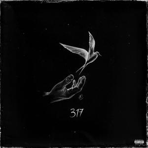 317 (Explicit)