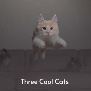 Three Cool Cats