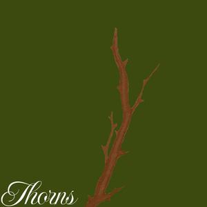 Thorns (Explicit)