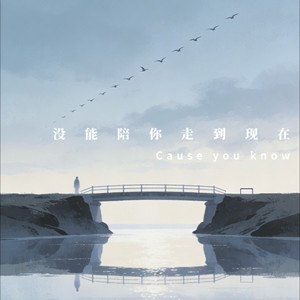 没能陪你走到现在