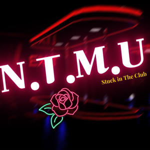 N.T.M.U (feat. FrankDaTruth) (Explicit)