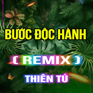 Thiên Tú - Bước Độc Hành (QV REMIX)