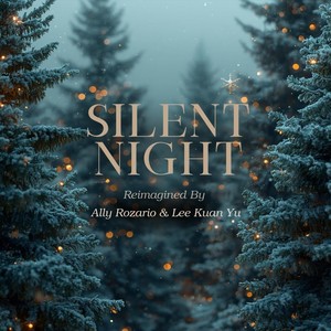 Silent Night (Live)