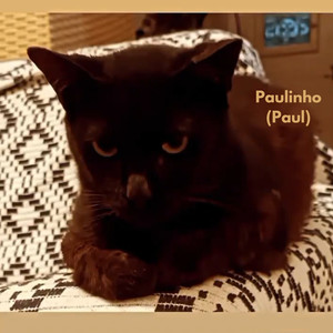 Paulinho (Paul)