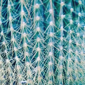 Me Abro a la Muerte(feat. Lyrean)