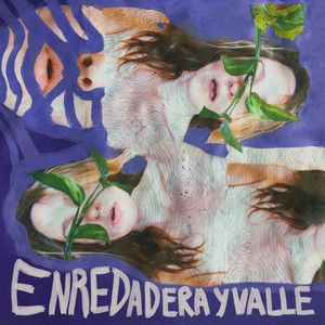 Enredadera y Valle