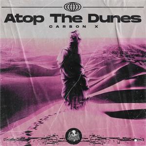 Atop The Dunes