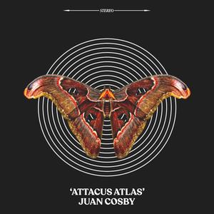 Attacus Atlas (feat. Heir Max & AP Counterfeit) (Explicit)