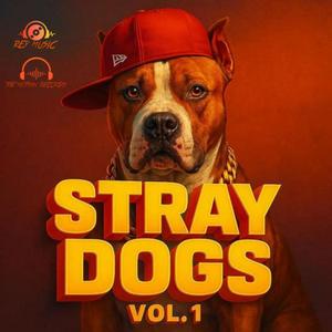 STRAY DOGS, Vol. 1 (feat. CABU, Santi king, Aterrante, Letal max, Mr William, Valentino flow, YAIL EL FLOW INMINENTE, KENNEDY, BLAST, El maick & Gabiinho 507|Explicit)