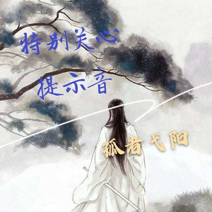 特别关心提示音