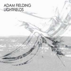 Adam Fielding - Ruined
