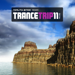 Trance Trip, Vol. 11