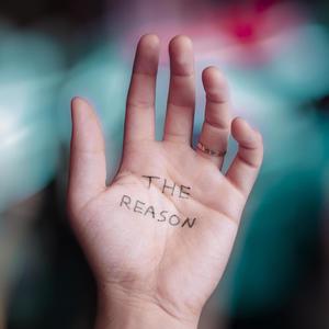 The Reason