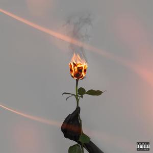 Nights In The Rose (Explicit)