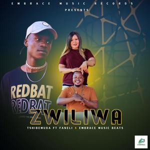 Zwiliwa (feat. Faneli & Embrace music beats)