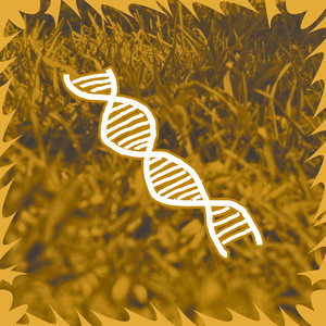 DOUBLE HELIX! (Explicit)