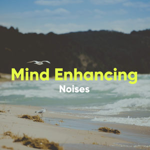 Mind Enhancing Noises