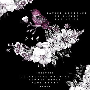 Sam (Ismael Rivas Remix)